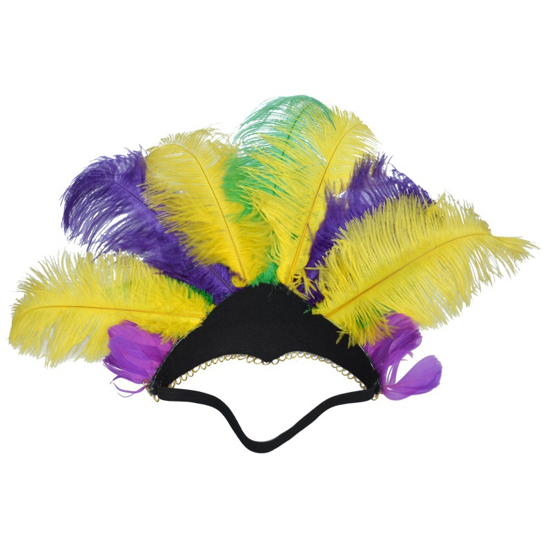 Coiffe de plumes de fête de carnaval du Brésil