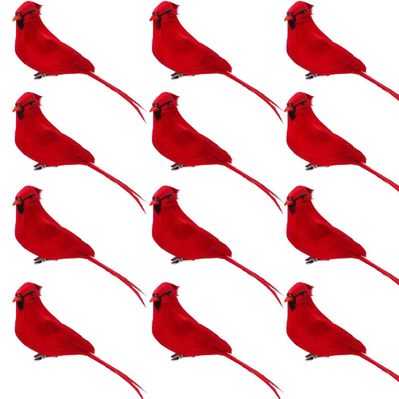 Oiseaux du festival
