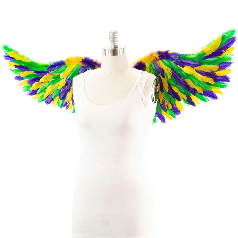 Ailes de fête de Mardi Gras