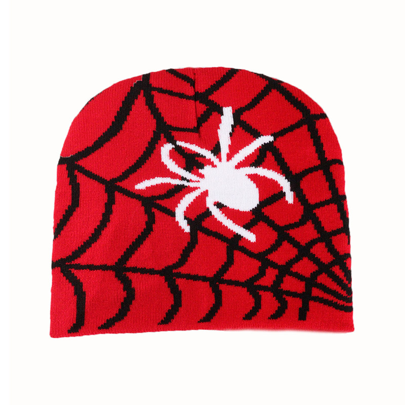 Spider web motif tricot skully Cap